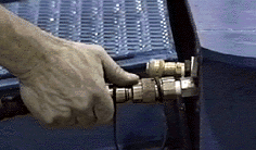 cent4.gif
