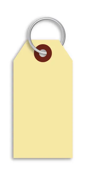 Manila Paper Key Tag W / Rings - 1000 ct  2 3/4" x 1 3/8" 